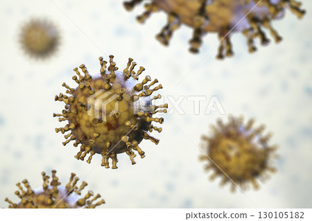 Varicella zoster or chickenpox virus 130105182