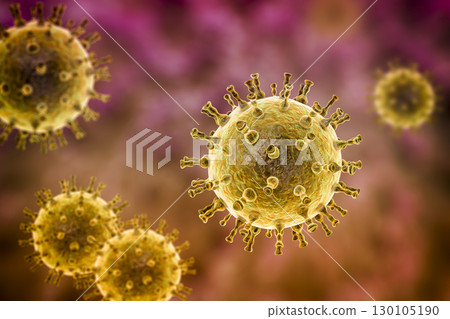Varicella zoster or chickenpox virus 130105190