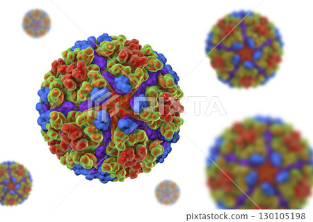 Chikungunya virus illustration 130105198