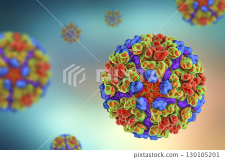 Chikungunya virus illustration 130105201