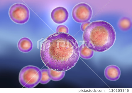 Human cells, illustration Human cells, illustration 130105546