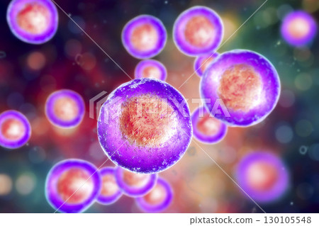 Human cells, illustration 130105548