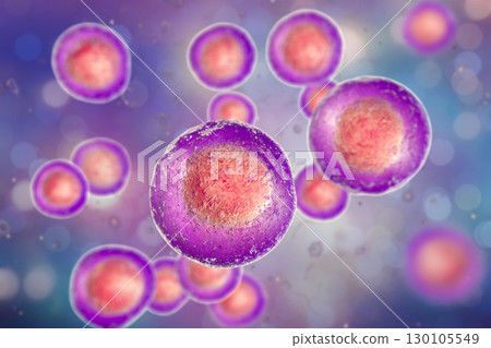 Human cells, illustration 130105549