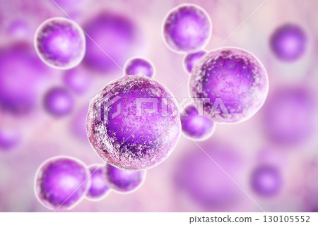 Human cells, illustration 130105552