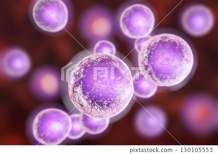 Human cells, illustration 130105553