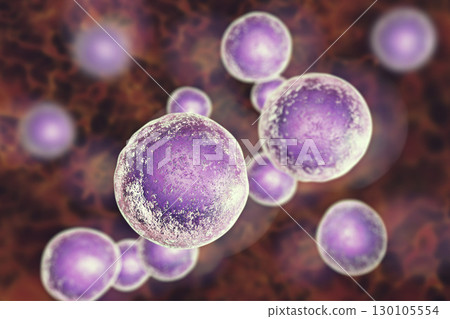 Human cells, illustration 130105554
