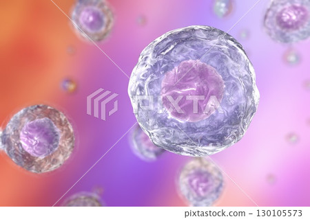 Illustratiion of human cells Illustratiion of human cells 130105573