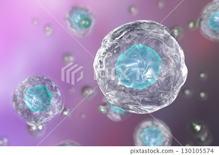 Illustratiion of human cells Illustratiion of human cells 130105574