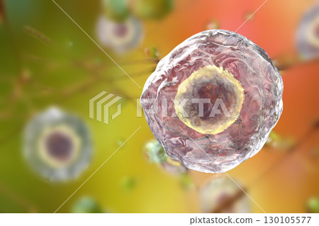 Illustratiion of human cells Illustratiion of human cells 130105577