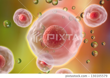 Illustratiion of human cells 130105579