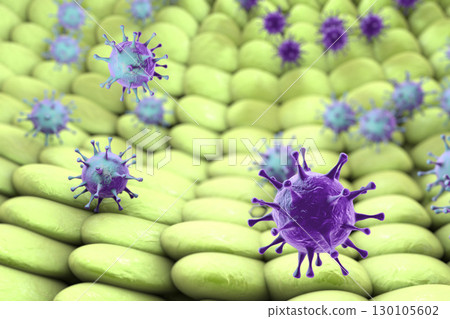 Viruses infecting human cells 130105602