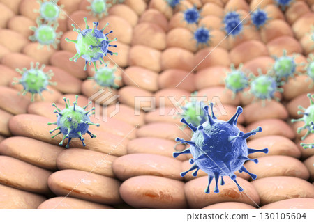 Viruses infecting human cells 130105604