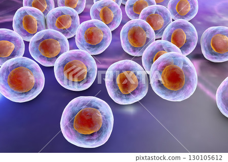 Background with cells - Stock Illustration [130105612] - PIXTA