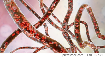 Blood vessel with flowing blood cells, 3D illustration Blood vessel with flowing blood cells, 3D illustration 130105739