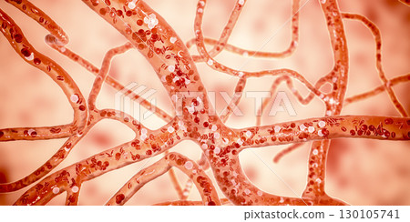 Blood vessel with flowing blood cells, 3D illustration 130105741