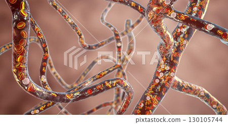 Blood vessel with flowing blood cells, 3D illustration Blood vessel with flowing blood cells, 3D illustration 130105744