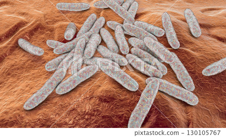 Bacteria Cardiobacterium hominis, 3D illustration. Normally present in mouth, nose and throat and can be the cause endocarditis 130105767
