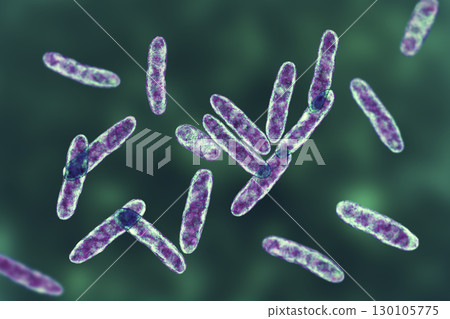 Bacteria Cardiobacterium hominis, 3D illustration. Normally present in mouth, nose and throat and can be the cause endocarditis 130105775