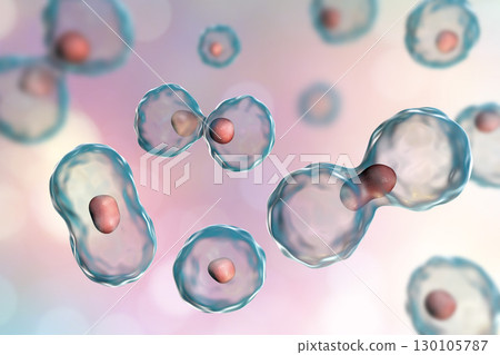 Dividing cells on colorful background 130105787