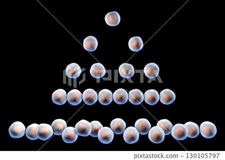 Cell division, illustration Cell division, illustration 130105797