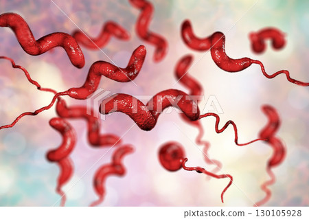 Campylobacter bacteria, the causative agent of food infections 130105928