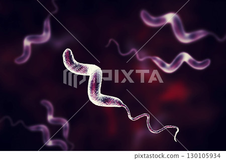 Campylobacter bacteria, the causative agent of food infections Campylobacter bacteria, the causative agent of food infections 130105934