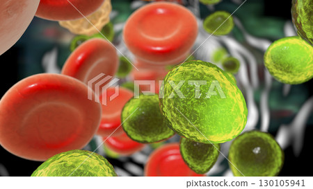 Fungemia, systemic fungal infection, Candida fungi in blood 130105941