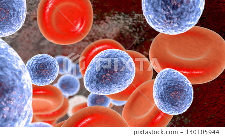 Fungemia, systemic fungal infection, Candida fungi in blood Fungemia, systemic fungal infection, Candida fungi in blood 130105944