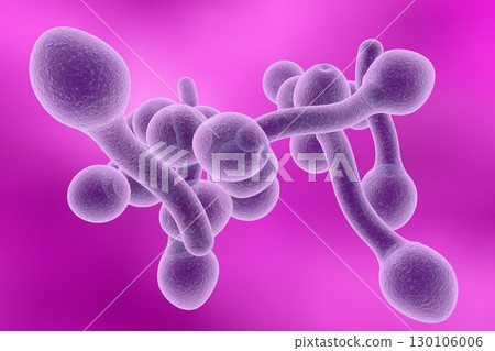 Fungi Candida albicans which cause thrush 130106006