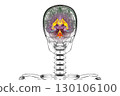 Ventricular system of the brain, 3D illustration 130106100