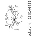 Branch with pomegranates and leaves. Modern single line art drawing. Continuous line drawing. Outline draw design vector illustration 130106481