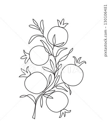 Branch with pomegranates and leaves. Modern single line art drawing. Continuous line drawing. Outline draw design vector illustration 130106481