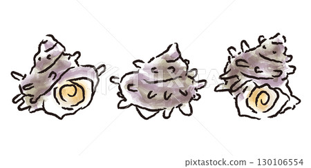 新鮮的海螺殼-手繪日式插畫 130106554