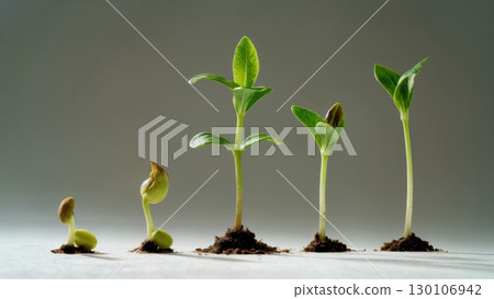 Plant Growth, Life Cycle, Organic Development. Perfect for botany, education, slow-living themes Plant Growth, Life Cycle, Organic Development. Perfect for botany, education, slow-living themes 130106942