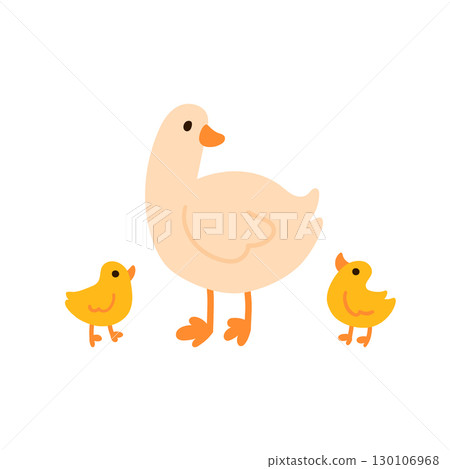 Mother duck standing with two ducklings simple flat illustration isolated on white. Domestic birds with orange beaks and legs. Great for kids content, nursery prints, farm and animal themes 130106968