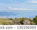 從日本平眺望的春天櫻花、駿河灣、駿河港和富士山 130106989