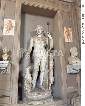 VATICAN CITY, ROME, ITALY - AUGUST 02, 2025 Marble statue of a youthful Dionysus, also known as Bacchus, the god of wine and fertility inside the Pio-Clementino Museum 130107100