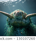 A sea turtle is heavily entangled in a bright green fishing net, trapped underwater with light filtering from above. Generative AI. 130107260
