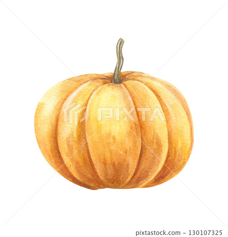 Watercolor yellow orange pumpkin illustration on isolated background. Autumn bright ripe vegetable. Hand drawn fall element for harvest decor, holiday greeting cards, vegetarian food poster. Watercolor yellow orange pumpkin illustration on isolated background. Autumn bright ripe vegetable. Hand drawn fall element for harvest decor, holiday greeting cards, vegetarian food poster. 130107325