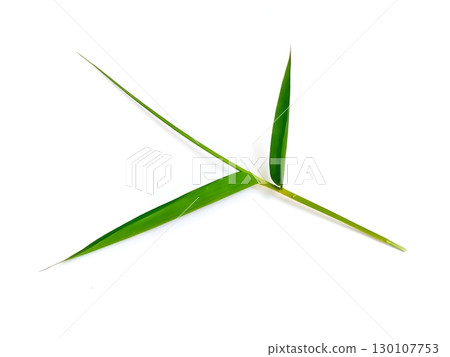 Bamboo leaves isolated on white background Bamboo leaves isolated on white background 130107753