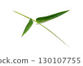 Bamboo leaves isolated on white background 130107755