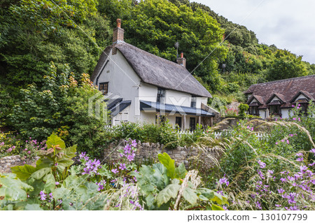 Idyllic Thatched English Cottage with Wildflowers, Rustic Country House in Nature 130107799