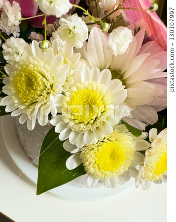 Closeup of white daisies with yellow centers in bouquet. Natural growth, tenderness, and floral decoration. Closeup of white daisies with yellow centers in bouquet. Natural growth, tenderness, and floral decoration. 130107997