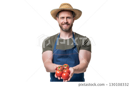harvester in apron and hat with tomato vegetable isolated on white 130108332