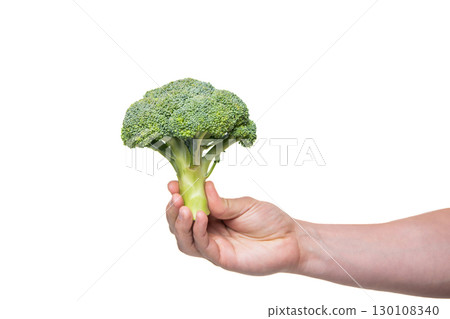 broccoli green vegetable in hand isolated on white background 130108340