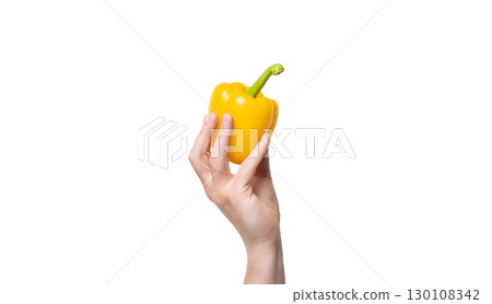 sweet pepper vegetable in hand isolated on white background. vitamin 130108342