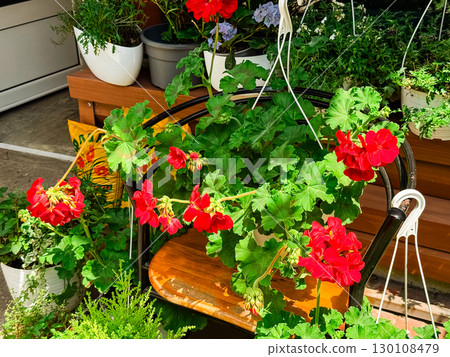 Potted plants and blooming flowers arranged along the street corner and flower shop. Nature, greenery and everyday urban gardening culture. 130108479