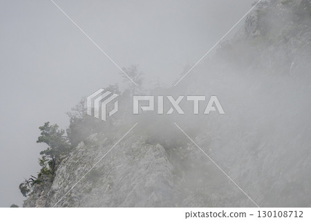 Fog enveloping a rocky mountain peak features sparse trees clinging to the rugged terrain, creating a serene and mysterious atmosphere 130108712