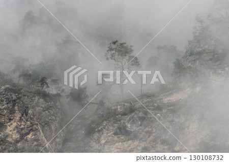 Misty mountain slope revealing sparse trees, rocky terrain shrouded in ethereal fog, generating moody wilderness landscape Misty mountain slope revealing sparse trees, rocky terrain shrouded in ethereal fog, generating moody wilderness landscape 130108732