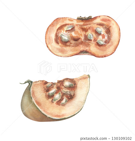 Pumpkin halves neutral watercolor set isolated. Botanical sketch pumpkin segments with seeds hand painted. Vegetables drawing in vintage style. Illustration for farm-to-table labels, recipe cards. Pumpkin halves neutral watercolor set isolated. Botanical sketch pumpkin segments with seeds hand painted. Vegetables drawing in vintage style. Illustration for farm-to-table labels, recipe cards. 130109102